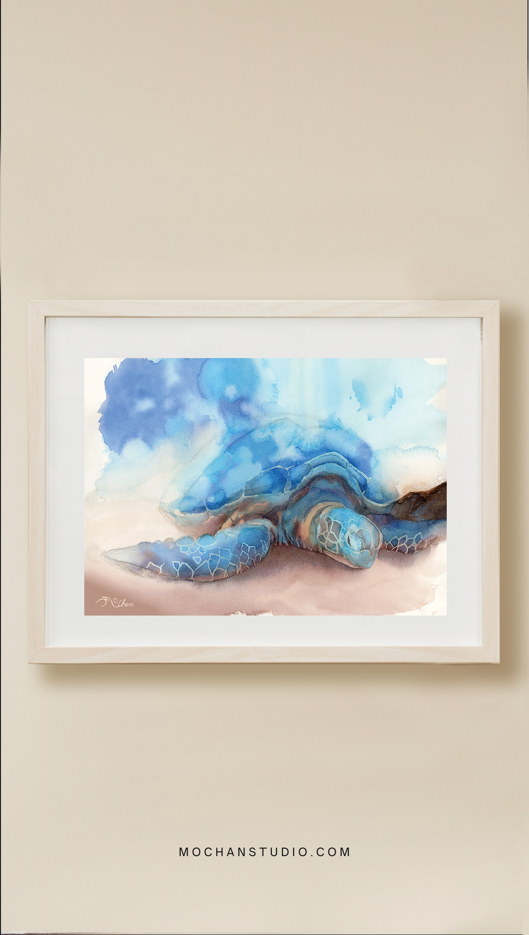 Honu from the Stars (Turtle)